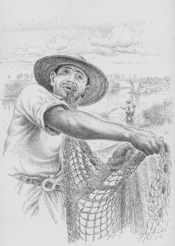 Pescador de Tarrafa