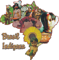 Brasil Indígena