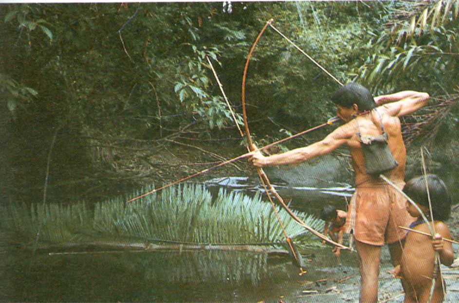 Pesca Arawet